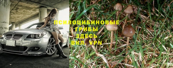 соль курить ск Аша
