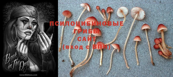 соль ск Бородино
