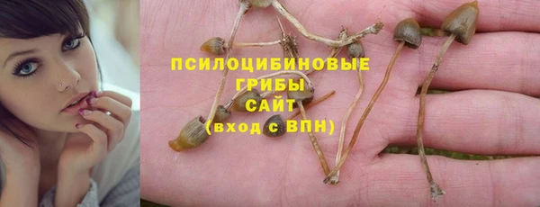 соль ск Бородино